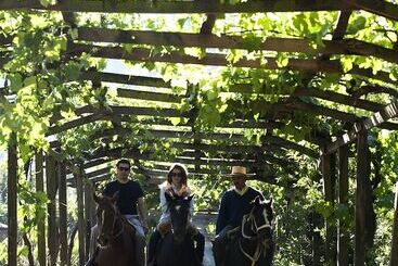 هتل Hacienda Los Lingues Chile Valle De Colchagua