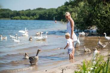 هتل Kempense Meren By Sunparks