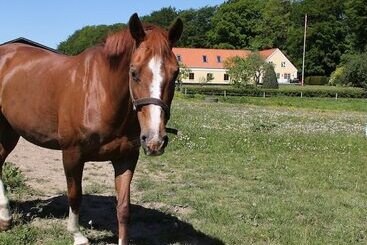 Munkebjerg Bed & Breakfast