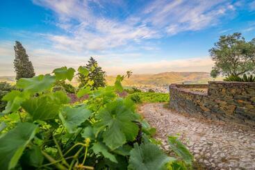 هتل Quinta De Santa Júlia
