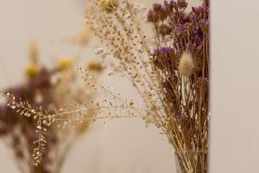 La Traversa B&b