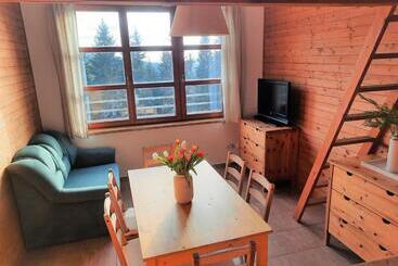 Velký Apartmán Cihlarka