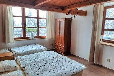 Velký Apartmán Cihlarka