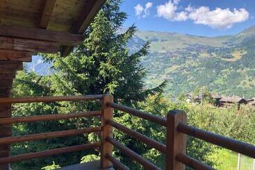 Hakuna Matata   Family Apt   4 Vallées   Swiss Alps