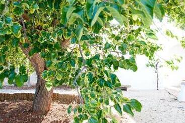 تختخواب و صبحانه Masseria San Martino