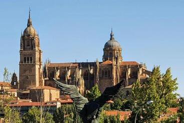 Las Mejores Vistas De Salamanca!!!