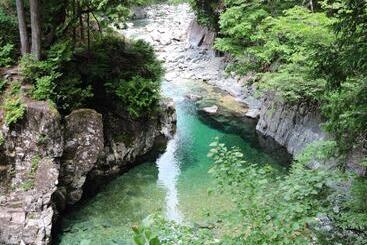 ریوکان 阿寺温泉 フォレスパ木曽あてら荘