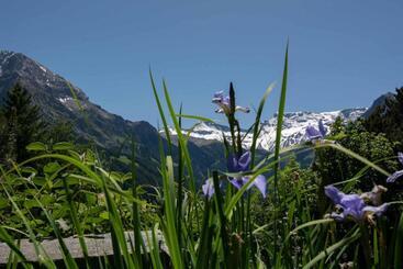 Chalet Grimm