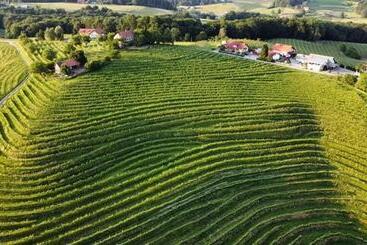 تختخواب و صبحانه Guesthouse Prenočišča širec