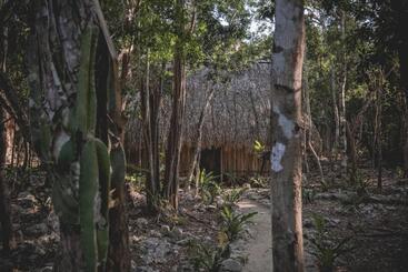 هتل Wakax Hacienda  Cenote & Boutique