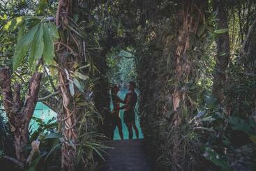 هتل Wakax Hacienda  Cenote & Boutique