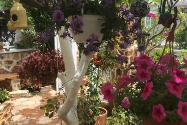 Lemon Villa Hotel   Adult Only