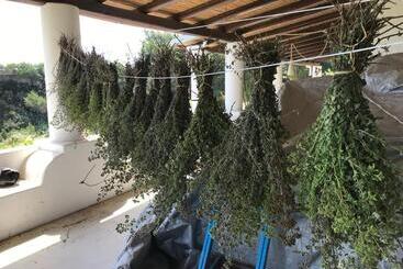 B&b Al Salvatore Di Lipari