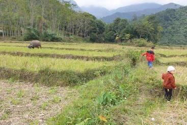 Fancy Sapa Hostel 2