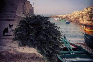 La Casetta Di Chiara B&b