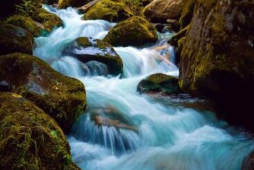 هتل Regenta Place Green Leaf Manali  A Centrally Heated Resort