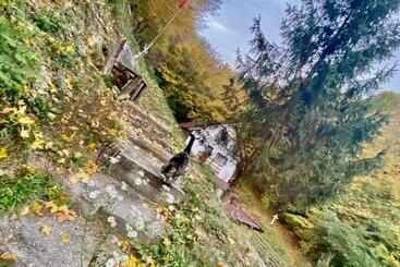 تختخواب و صبحانه Căsuța Din Pădure