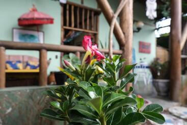 هاستل Gaia Gardens Pousada