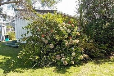 Hibiscus Cottage Whangamata Bach
