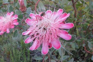 Joel S Off Grid Cottage In The Klein Karoo