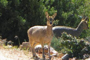 Joel S Off Grid Cottage In The Klein Karoo