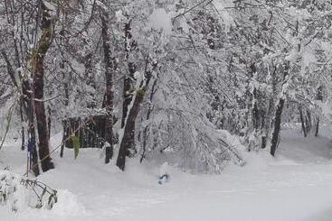 Cabaña Lodge Los Coihues Valle Las Trancas# Termas De Chillan#nevados De Chillan