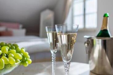 پانسیون Boutique Hotel Soukeníkův Dům