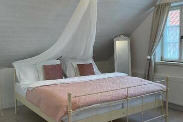 پانسیون Boutique Hotel Soukeníkův Dům