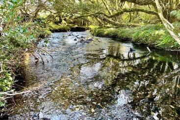 Stepping Stones Glamping ‘the Olive’