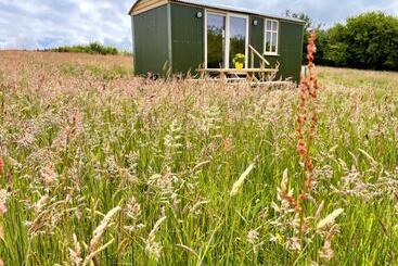 Stepping Stones Glamping ‘the Olive’