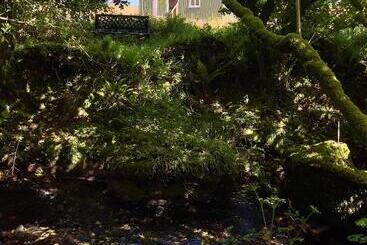 Stepping Stones Glamping ‘the Olive’