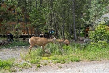 The Sleeping Moose I Fireplace I Pool Table I Tv