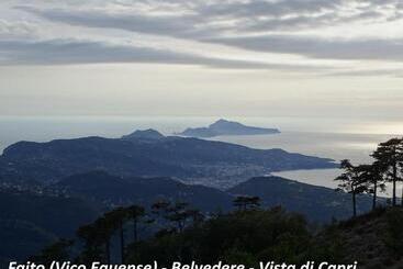 Filangieri 23   Luxury B&b   Sorrento Coast