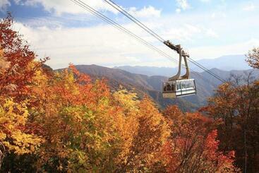 Minamiuonuma   Hotel   Vacation Stay 36035v