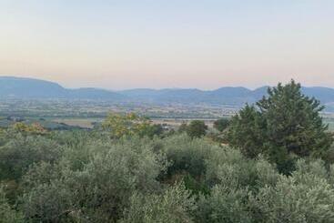 هتل Agriturismo Casa Orsini