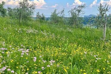 هتل Agriturismo Valsiniga