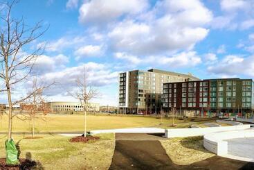 Luxury Executive Suite Harvard Allston 3 Bedrooms 2 Baths