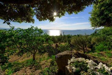 پانسیون Panorami Sul Trasimeno
