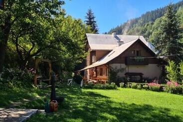 Pensiunea Aurora Albac