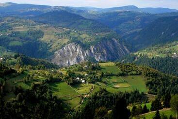 Pensiunea Aurora Albac