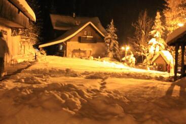 Pensiunea Aurora Albac