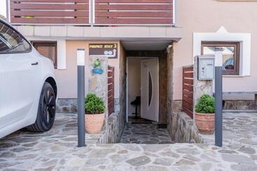 Perfect Stay 2