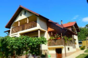 פנסיון Casa Smeilor Horezu