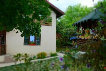 פנסיון Casa Smeilor Horezu