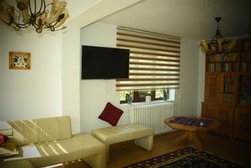 פנסיון Casa Smeilor Horezu