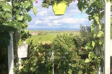 پانسیون Gite Riquewihr C Est Beau La Vie Alsace