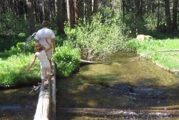 #531 Close To Canyon Lodge With Pool & Spa