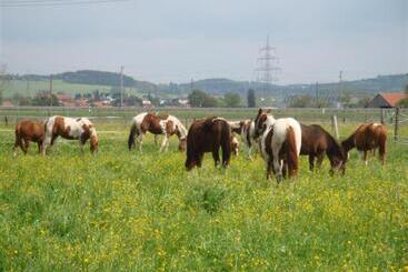 تختخواب و صبحانه Chrom Ranch Reiterhof