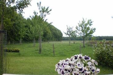 צימר Pipowagen Lidewei Groningen Westerwolde Unieke Ligging Met Eigen Tuin En Vrij Uitzicht Over Veld Naa