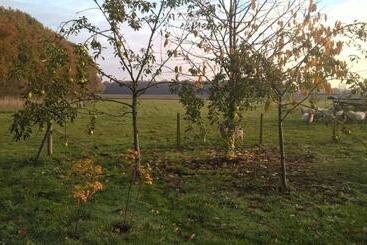 Bed and Breakfast Pipowagen Lidewei Groningen Westerwolde Unieke Ligging Met Eigen Tuin En Vrij Uitzicht Over Veld Naa